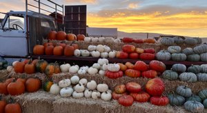 One Of The Largest Pumpkin Patches In Nevada Is A Must-Visit Day Trip This Fall