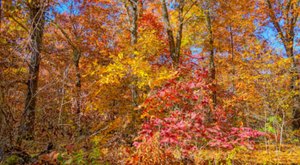 This Little-Known Scenic Spot In Missouri That Comes Alive With Color Come Fall