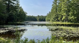 This Pond Trail In Rhode Island Is A Must-Visit This Summer
