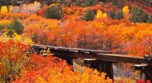 The Small Town In Colorado That Comes Alive In The Fall Season
