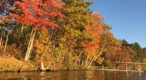 Here Are The Best Times And Places To View Wisconsin’s Fall Foliage In 2023