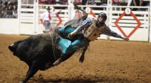 You Could Easily Spend All Weekend At This Enormous Fort Worth Stock Show & Rodeo