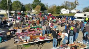 Everyone In St. Louis Should Visit This Epic Flea Market At Least Once