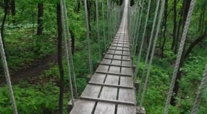 This Canopy Walk Near Milwaukee Will Make Your Stomach Drop
