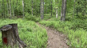 Before Word Gets Out, Visit Pennsylvania’s Newest Hiking Trail