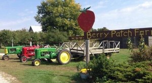 Pick Your Own Berries This Summer At The Berry Patch In Iowa