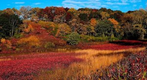 The 2.7-Mile Bluffside Trail Leads Hikers To The Most Spectacular Fall Foliage In Minnesota