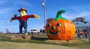 Here Are The 7 Absolute Best Pumpkin Patches In Minnesota To Enjoy In 2023