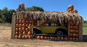Here Are The 6 Absolute Best Pumpkin Patches In New Jersey To Enjoy In 2023