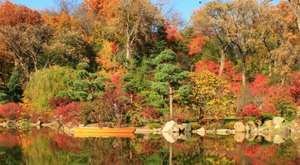 Here Are The Best Times And Places To View Illinois’ Fall Foliage In 2023