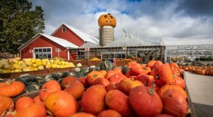 Here Are The 7 Absolute Best Pumpkin Patches In Illinois To Enjoy In 2023