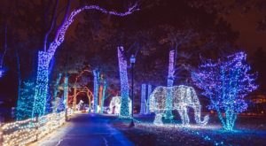 9 Christmas Light Displays Around Detroit That Are Pure Magic