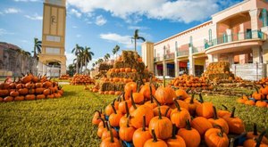 The 11 Best Fall Festivals In Florida For 2023 Will Put You In The Autumnal Spirit