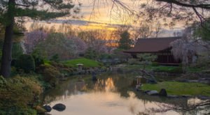 This Underrated Japanese Garden Just Might Be The Most Beautiful Place In Philadelphia