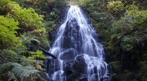 5 Gorgeous Waterfalls Hiding In Plain Sight Near Portland With No Hiking Required