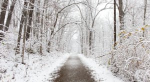 9 Picturesque Trails Around Detroit That Are Perfect For Winter Hiking
