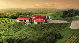 With More Than 10 Acres Of Vines, Cedar Ridge Winery Is Also The Largest Distillery In Iowa