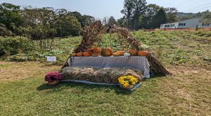 With Sunflowers And Pumpkins, You Don’t Want To Miss This Small Town West Virginia Pumpkin Patch