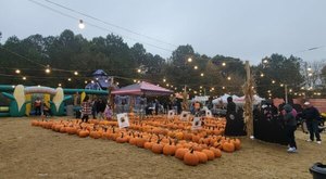 Here Are The 7 Absolute Best Pumpkin Patches In Georgia To Enjoy In 2023