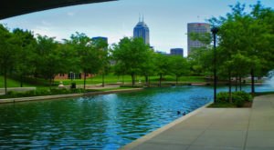 10 Undeniable Habits That No Indianapolis Hoosier Can Ever Unlearn