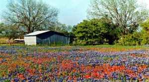 15 Slow-Paced Small Towns Near Dallas – Fort Worth Where Life Is Still Simple