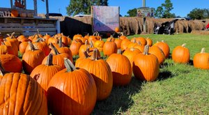 Here Are The 6 Absolute Best Pumpkin Patches In Mississippi To Enjoy In 2023