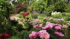 The Secret Garden In Louisville You’re Guaranteed To Love