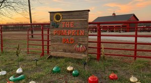 The Largest Pumpkin Patch In Missouri Is A Must-Visit Day Trip This Fall