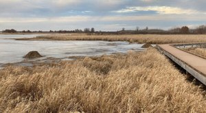 The Necedah National Wildlife Refuge In Wisconsin Is A Big Secluded Treasure