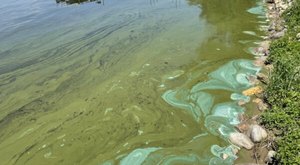 There Is A Toxic Algae Slime Threatening One Of Florida’s Biggest Lakes
