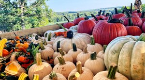 The Month-Long Harvest Festival At Rhymers Ridge Farm In Missouri Is A Must