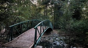 18 Best Hiking Trails In Louisiana