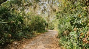 Before Word Gets Out, Visit Florida’s Newest Nature Preserve