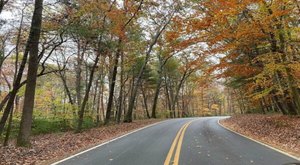 The Small State Park Where You Can View The Best Fall Foliage In Virginia