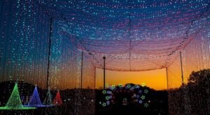6 Drive-Thru Christmas Lights Displays Near Cincinnati The Whole Family Can Enjoy