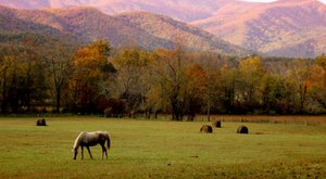 Here Are The Best Times And Places To View Tennessee’s Fall Foliage In 2023