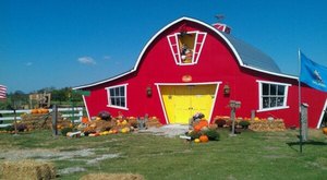 Here Are The 7 Absolute Best Pumpkin Patches In Oklahoma To Enjoy In 2023