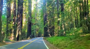 5 Inexpensive Road Trip Destinations In Northern California That Won’t Break The Bank