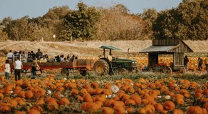 The Largest Pumpkin Patch In Northern California Is A Must-Visit Day Trip This Fall