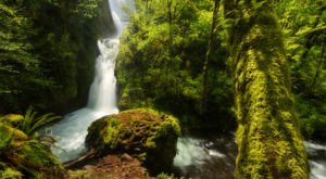 These 10 Epic Waterfalls Near Portland Will Take Your Breath Away