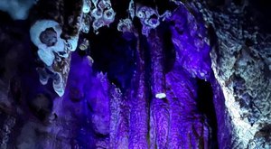 Take A Black Light Tour Of This Wisconsin Cave For An Experience Unlike Any Other