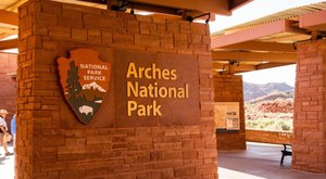 Bats Are Acting Strange At Arches National Park. Here’s What You Should Know Before You Visit