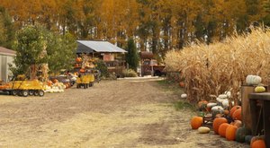 Here Are The 9 Absolute Best Pumpkin Patches In Idaho To Enjoy In 2023