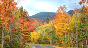 Here Are The Best Times And Places To View Maine’s Fall Foliage In 2023