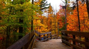 The Small State Park Where You Can View The Best Fall Foliage In Michigan