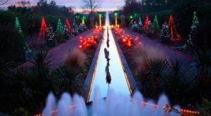 The Winter Walk In Charlotte That Will Positively Enchant You