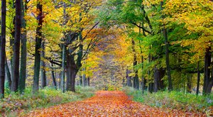 Here Are The Best Times And Places To View Massachusetts’ Fall Foliage In 2023