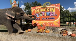 The 7 Best Fall Festivals In Oklahoma For 2023 Will Put You In The Autumnal Spirit