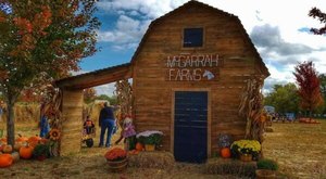 The Largest Pumpkin Patch In Arkansas Is A Must-Visit Day Trip This Fall