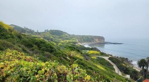 The 2-Mile Beach Bluff Trail Might Just Be The Most Enchanting Hike In Southern California